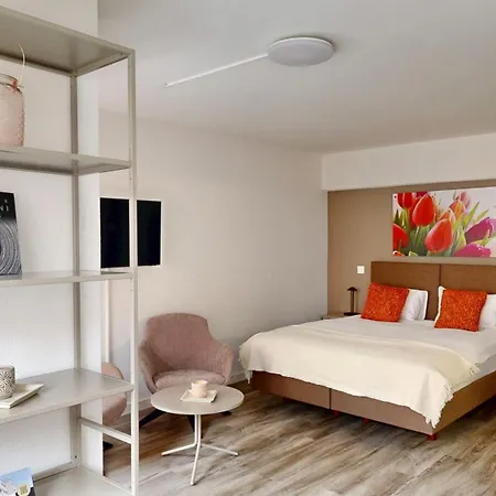Apartmenthouse Rodtmatt - Zentral In 3*