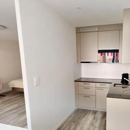 Apartmenthouse Rodtmatt - Zentral In 3* Bern