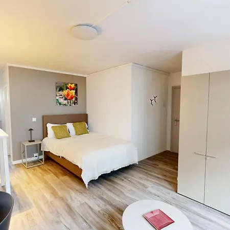 Hotel Apartmenthouse Rodtmatt - Zentral In 3*