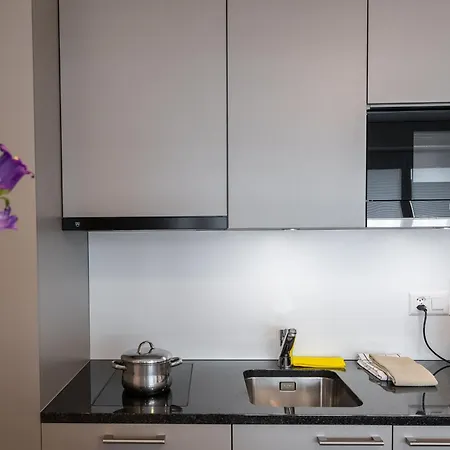 فندق Apartmenthouse Rodtmatt - Zentral In 3*