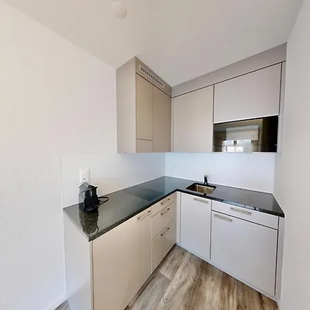 Apartmenthouse Rodtmatt - Zentral In Hotel 3*